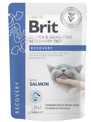 8595602566693.jpg 85 gr. Brit Veterinary Diet Recovery märgtoit kassidele