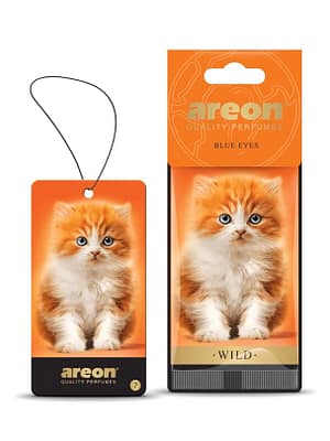 3800034985635.jpg Areon õhuvärskendaja Blue Eyes