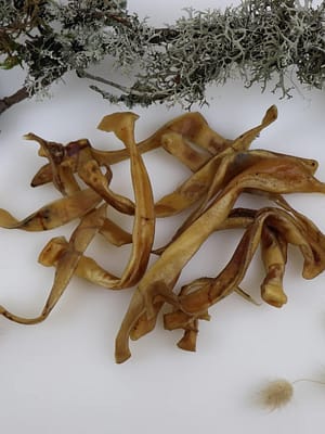 4741379501076.jpg Tessa kuivatatud viilutatud seakõrvad väikest kasvu koertele 100 gr. (Eesti toode!)