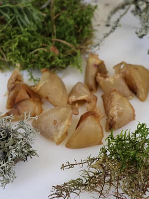 4741379501113.jpg Tessa kuivatatud seasõrad koertele 60 gr. (Eesti toode!)