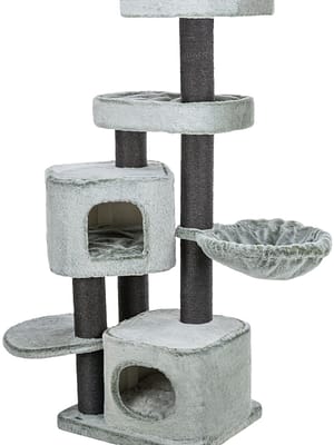 miguel Kassimaja Miguel, kõrgus 146 cm.