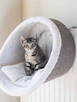 radikale Ümar magamiskoobas radiaatorile mis sobib kuni 5 kg. kassidele