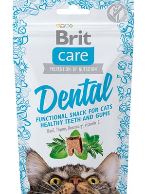 Brit Care Dental poolniisked hammaste hügieeni eest hoolitsemise maiused kassile 50 gr.