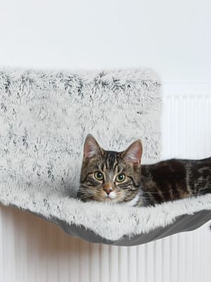 43145.jpg Pika karvaga magamiskoht Trixie Harvey radiaatorile (max. kaal 5 kg.)