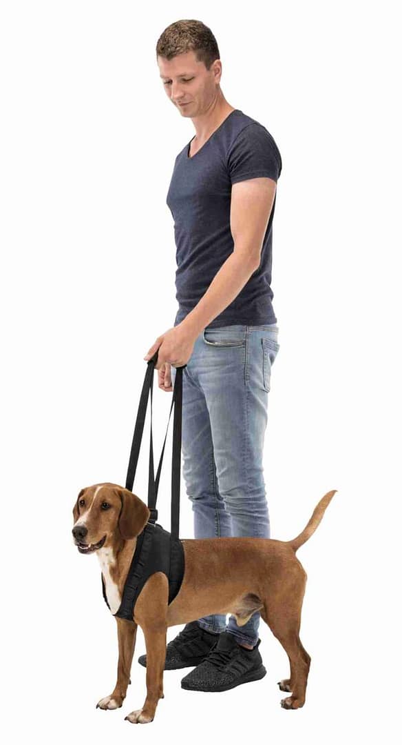 tugi2 Jalaaukudega kõndimisabi/tugi, suurus M (max. kaal 25 kg.) kõhu ümbermõõt 55-65 cm.