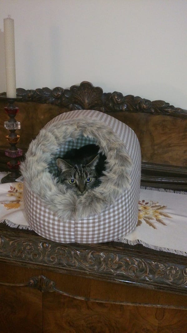 pesa-astana-3.jpg Koobaspesa Astana