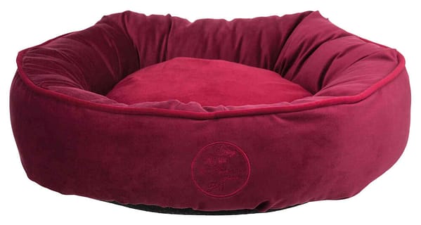 Veinipunane pesa läbimõõduga 50 cm.