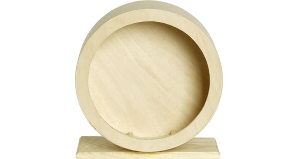 7582_61f3d55e84ad96.83753489_ratas1.jpeg Flamingo puidust jooksuratas väikenärilistele ø 20 cm.