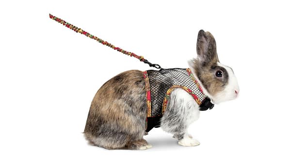 Flamingo traksid+jalutusrihm jänesele, suurus L