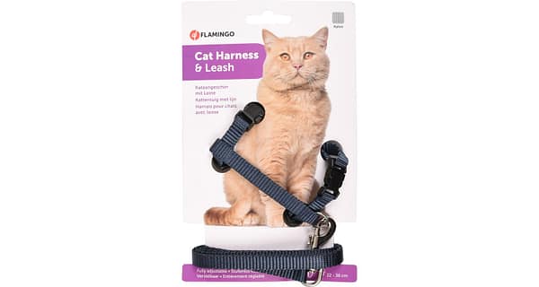 Flamingo graniitsinised traksid+jalutusrihm kassile