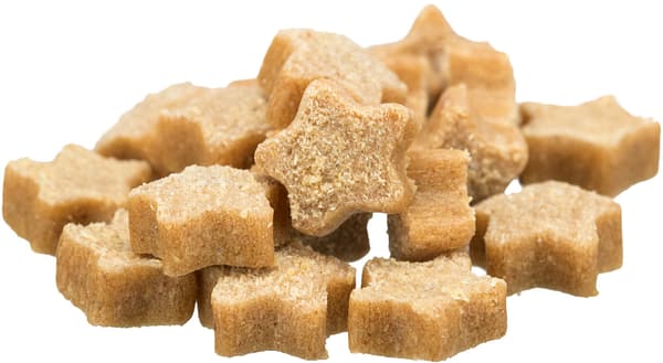 täht Trixie advendikalender kassidele