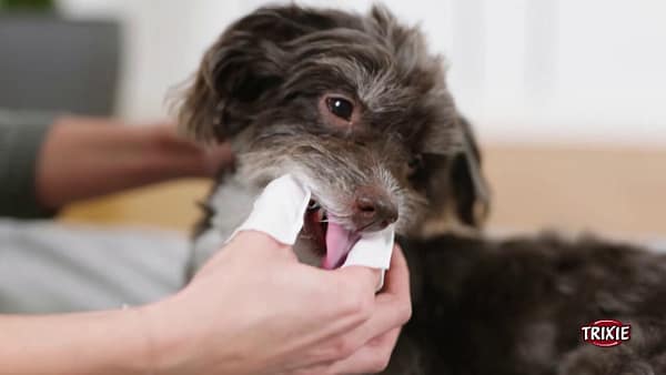 lapid2 Hambapuhastuslapid näpule Trixie