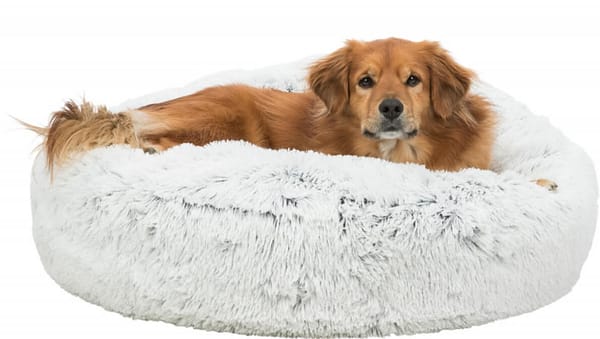 harvey2 Ümmargune pesa Harvey läbimõõduga 80 cm.