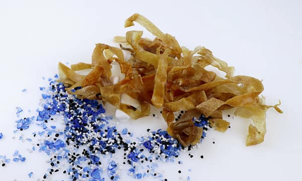 Tessa kuivatatud seanaharibad väikest kasvu koertele 100 gr. (Eesti toode!)