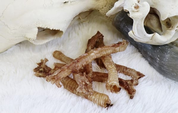 Tessa kuivatatud sea trahhea väikestele koertele 100 gr. (Eesti toode!)