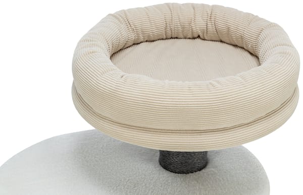 marco2 Ronimispuu Marco - kõrgus 85 cm.