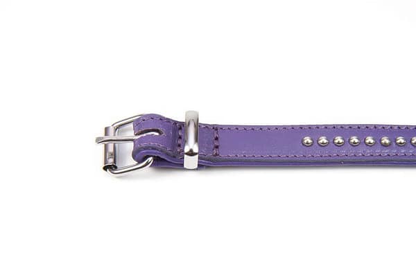 zoe2 Naturaalsest nahast, voodriga ning neetidega kaunistatud kaelarihm ZOE väikest kasvu koertele