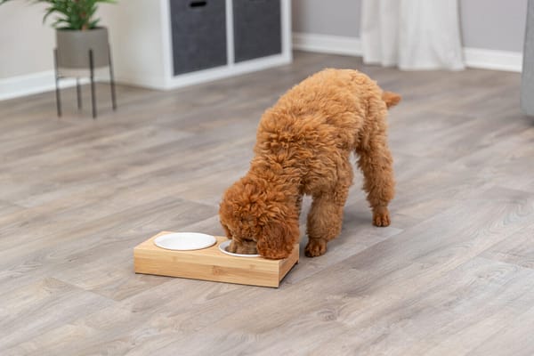 valged2 Keraamilised kausid bambusest alusel, maht 2 x 0,25 l.