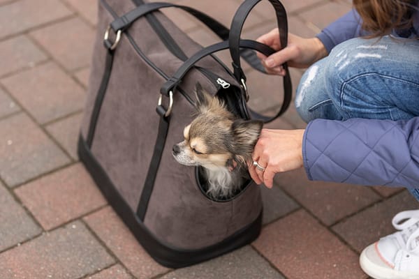 a7 Kandekott Alfie kuni 7 kg. lemmiklooma transpordiks