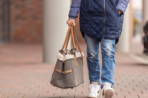 rachel6 Kandekott Rachel kuni 7 kg. lemmiklooma transpordiks.