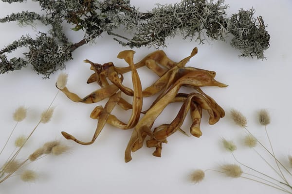 Tessa kuivatatud viilutatud seakõrvad väikest kasvu koertele 100 gr. (Eesti toode!)