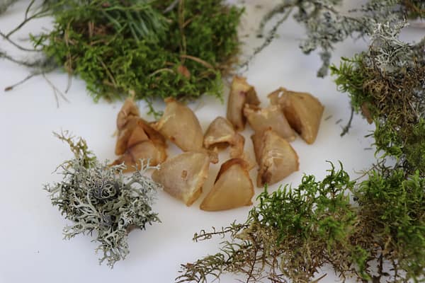 Tessa kuivatatud seasõrad koertele 60 gr. (Eesti toode!)