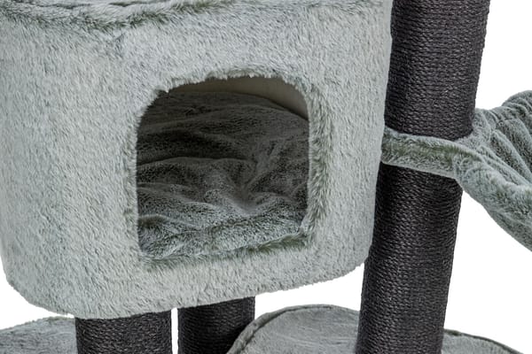 miguel1 Kassimaja Miguel, kõrgus 146 cm.