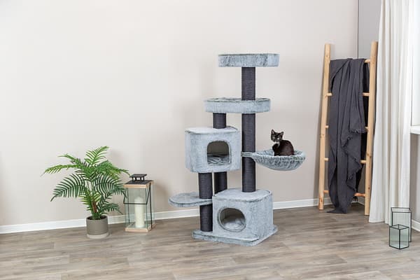 miguel4 Kassimaja Miguel, kõrgus 146 cm.