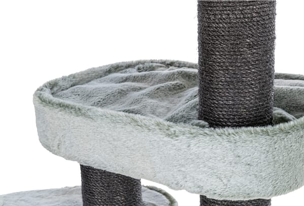 miguel2 Kassimaja Miguel, kõrgus 146 cm.