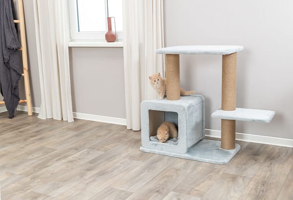 elena1 Kassimaja Elena, kõrgus 83 cm.