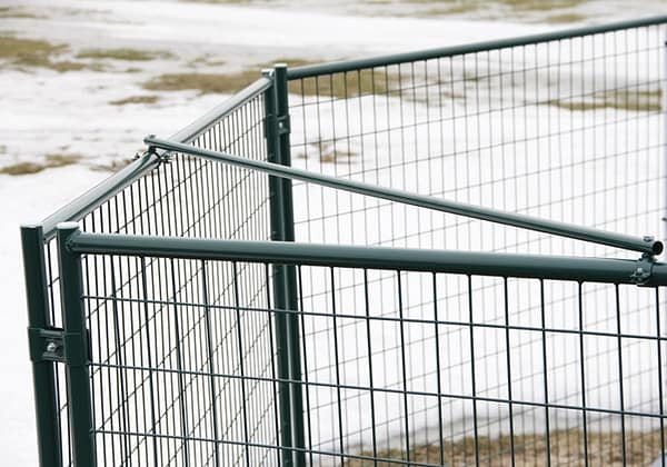 Diagonaaltugi koeraaedikule