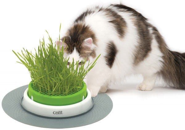 Catit Senses kassimuru kasvatamise komplekt