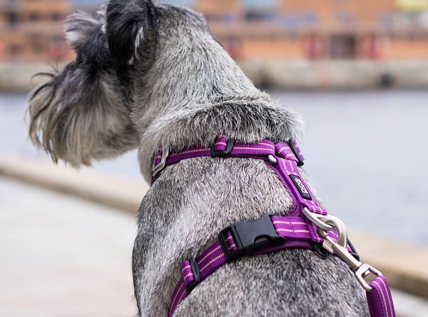 lilla3 Comfort Walk Air™ traksid lilla