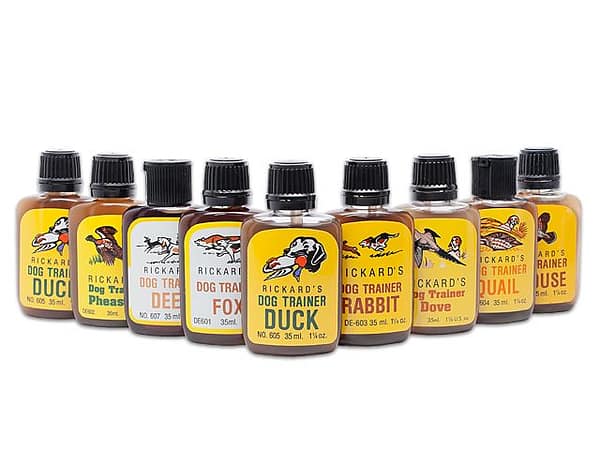 Saakloomalõhnad jahikoera õpetamiseks