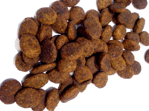 festival graanulid 12,5 kg. Josera Festival - täissööt lõhega, mille graanulid on kaetud kastmejahuga