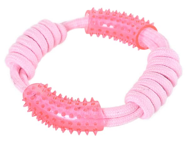 Barry King roosa rõngas koertele, läbimõõt 18 cm.