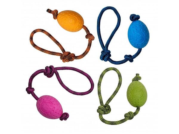 pallid Kiwi Walker Let’s Play! Egg nööriga pall