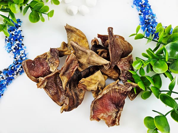 Tessa kuivatatud seamagu koertele 200 gr. (Eesti toode!)