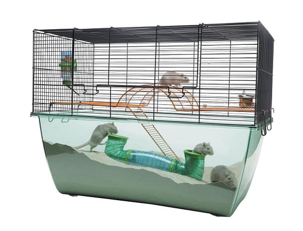 liivahiirtele-ning-hamstritele-puur.jpg Liivahiirtele ning hamstritele kahekorruseline puur