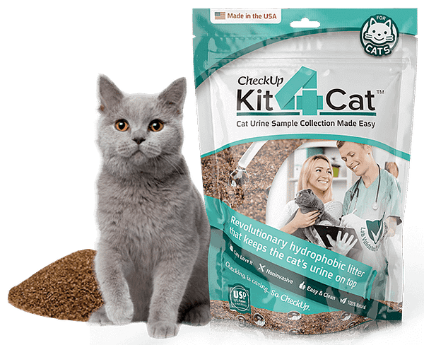 Liiv kassi uriiniproovi võtmiseks 3 x 300 gr.