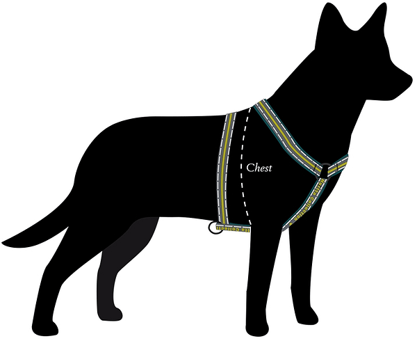 hurtta-rohelised-traksid-3.jpg Hurtta roosad traksid, rinnaümbermõõt 120 cm.