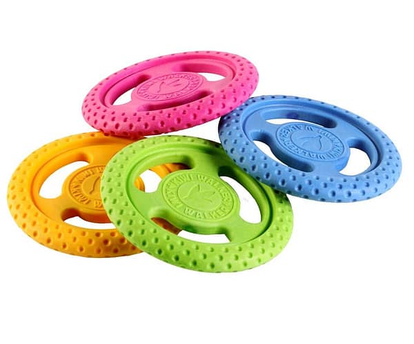 Kiwi Walker Let’s Play! Frisbee Mini