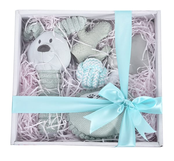 5904479157119.jpg Barry King sinine kingikomplekt kutsikale 5in1