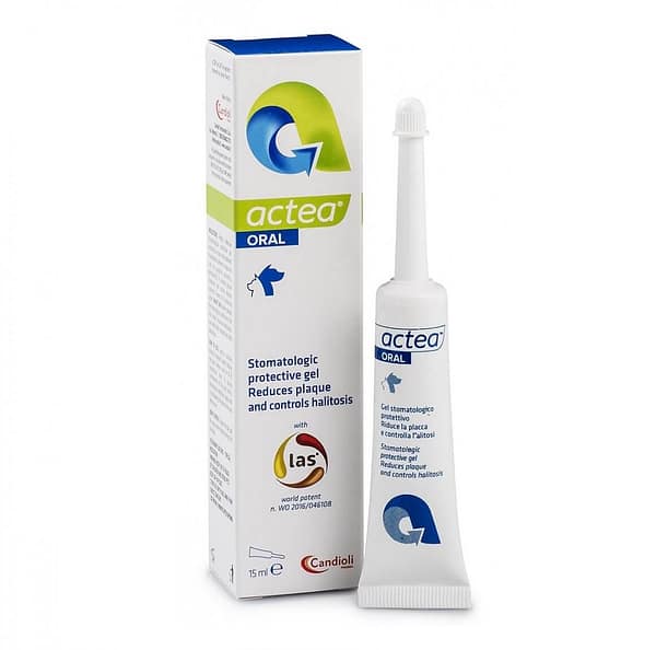 Hambakaitsegeel koertele-ja kassidele ACTEA ORAL 15 ml.
