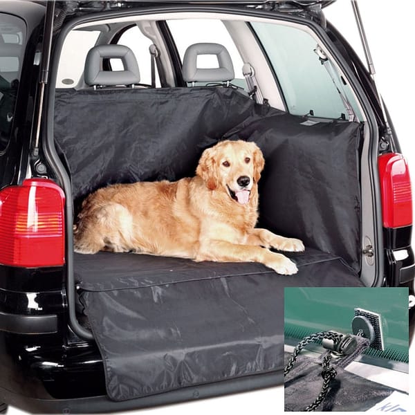 Auto pakiruumi  kaitse kate