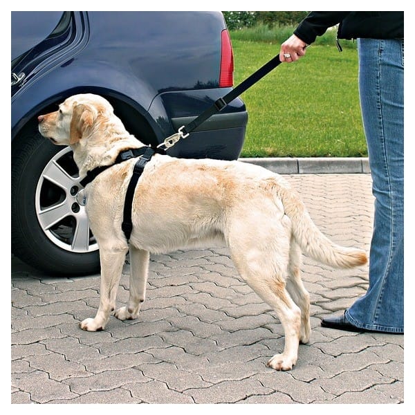 autosoidu-turvatraksid-komplektina-2.jpg Autosõidu turvatraksid komplektina