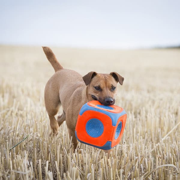 chuckit-kick-cube-1-1.jpg Chuckit! Kick Cube