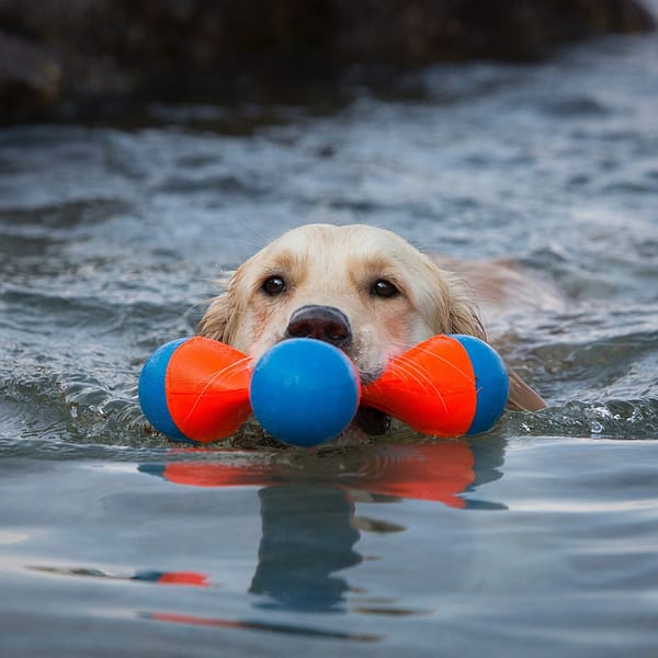 chuckit-tri-bumper-1-1.jpg Chuckit! Tri-Bumper