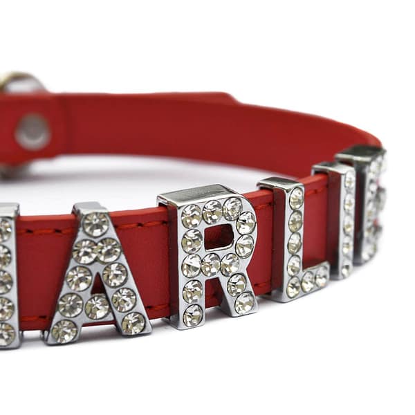 dekoratiivkaelarihm-teie-koera-nimega-1-12.jpg Punane dekoratiivkaelarihm Teie koera nimega