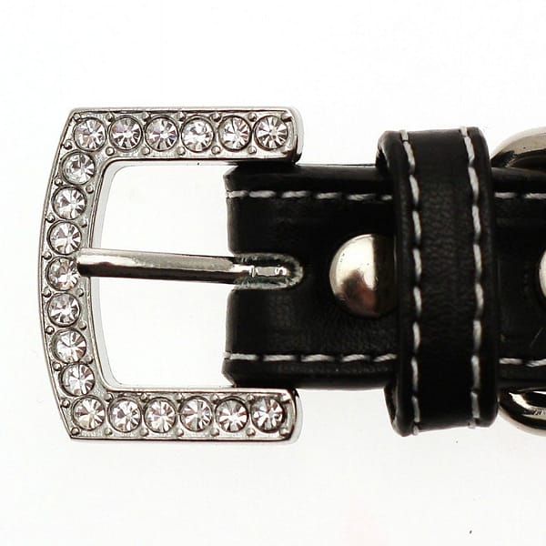 dekoratiivkaelarihm-teie-koera-nimega-1-13.jpg Punane dekoratiivkaelarihm Teie koera nimega